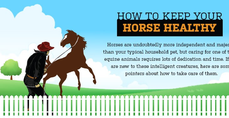 How Healthy is Your Horse?